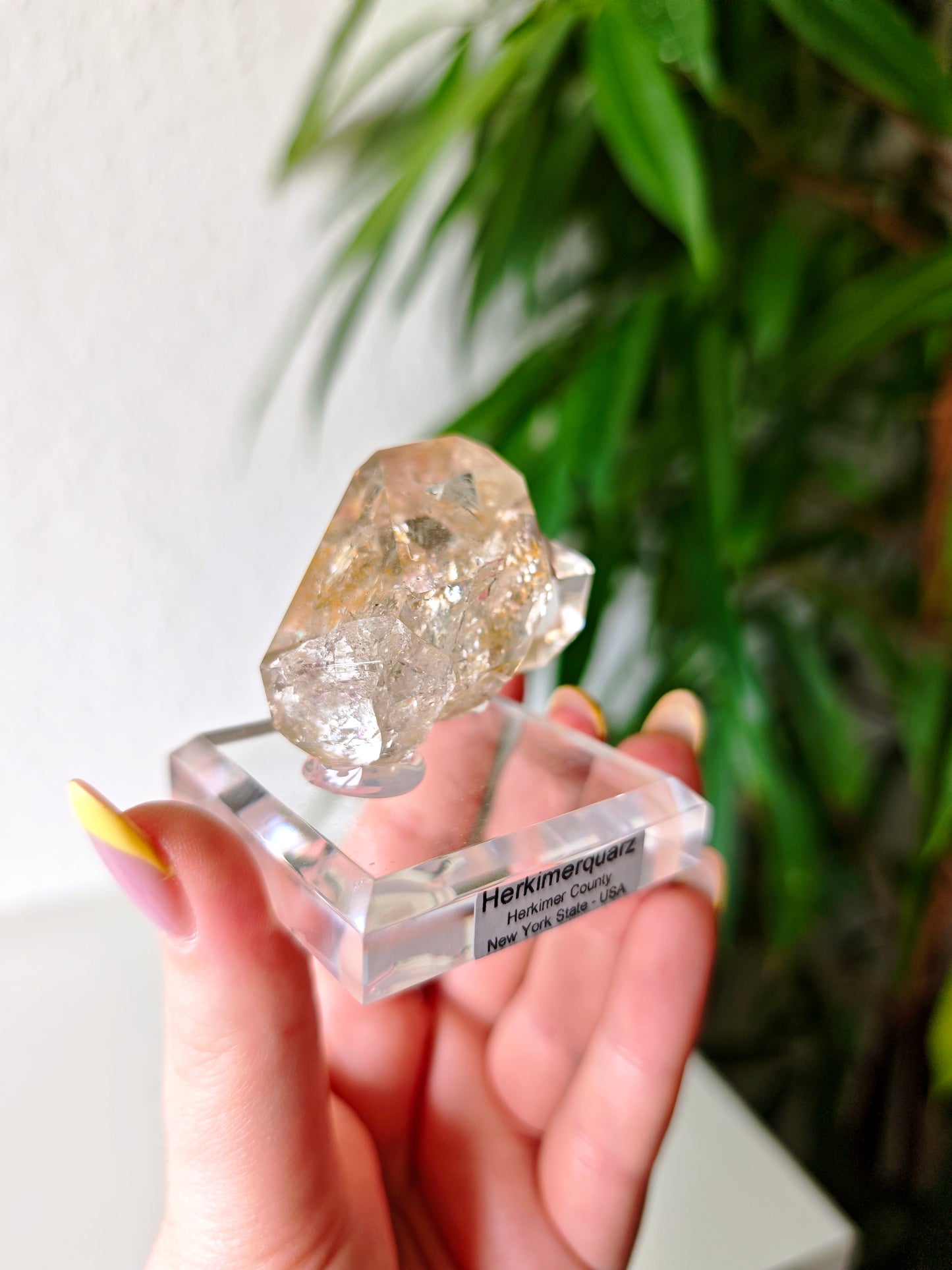 Herkimer 121F