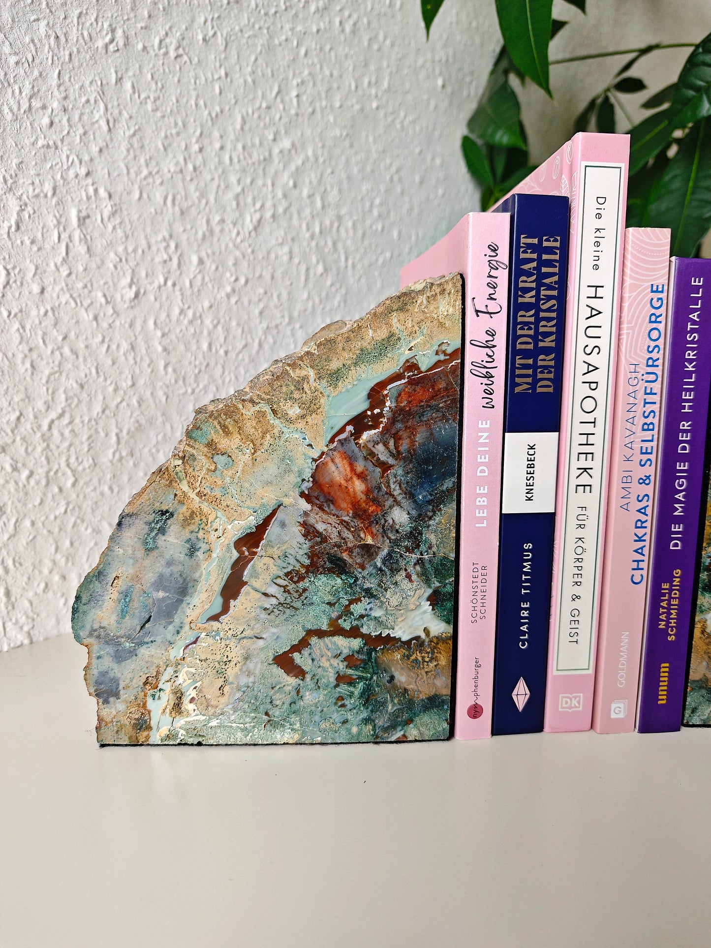 Arizona Versteinertes Holz Buchstützen 4,8kg