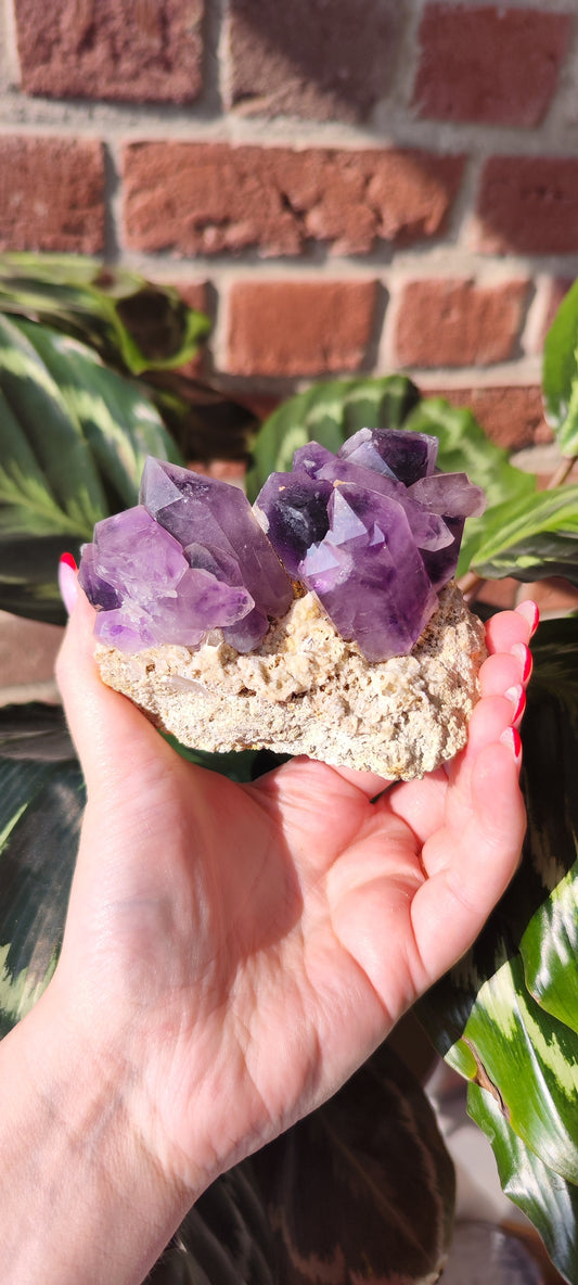 Namibia Amethyst Cluster 298A