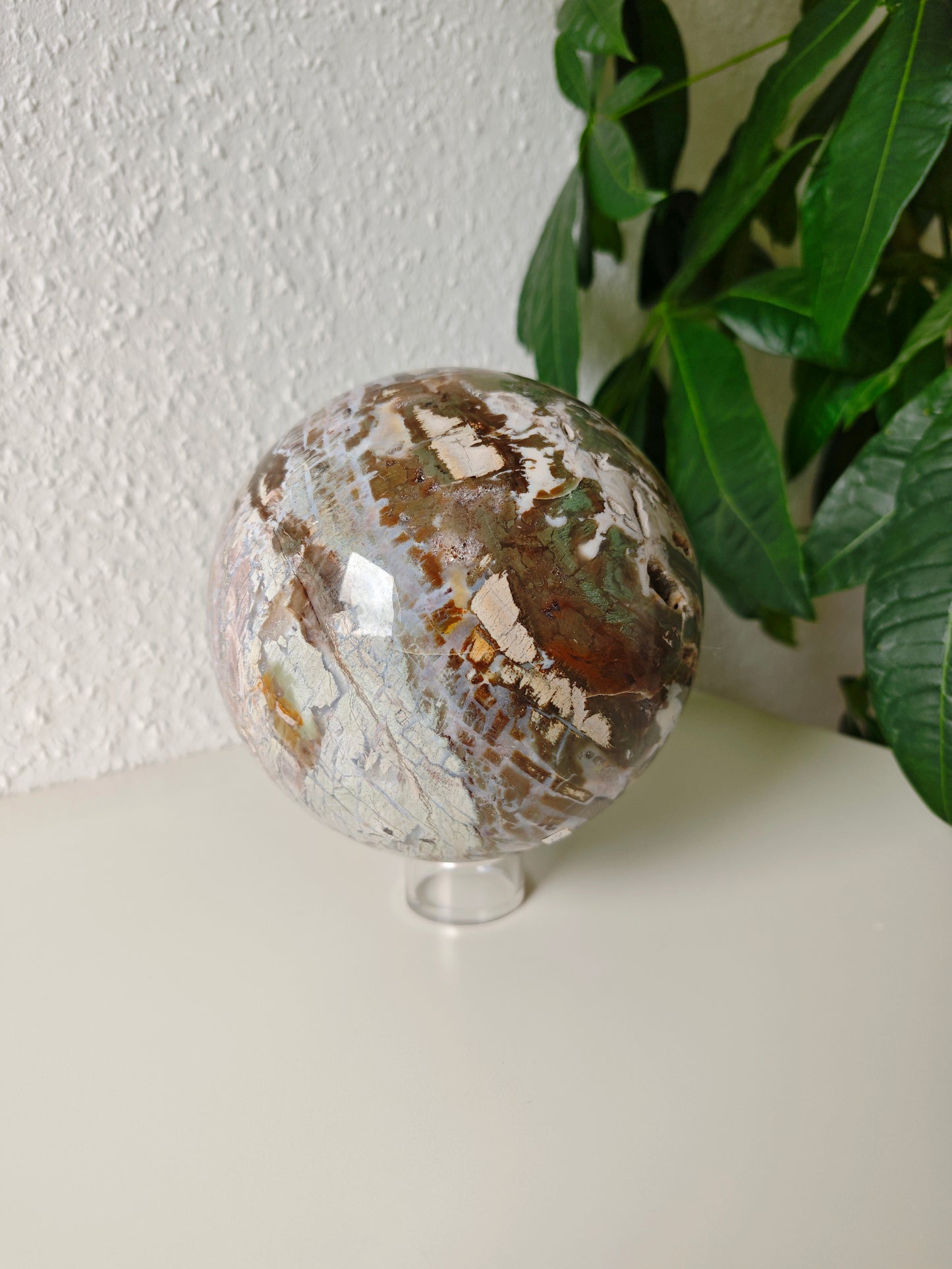 Statement Versteinertes Holz Kugel 14,5cm