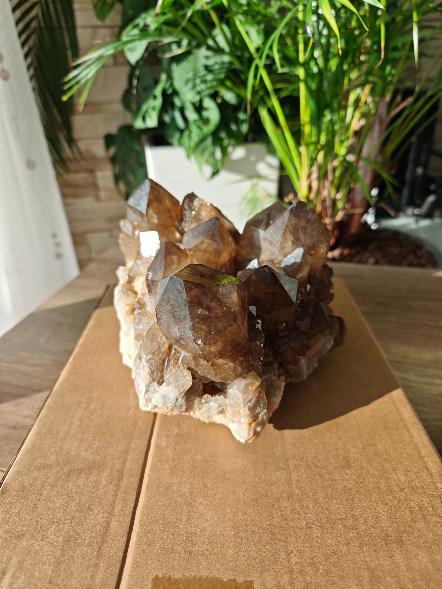 Rauchiger Citrin aus Finnland