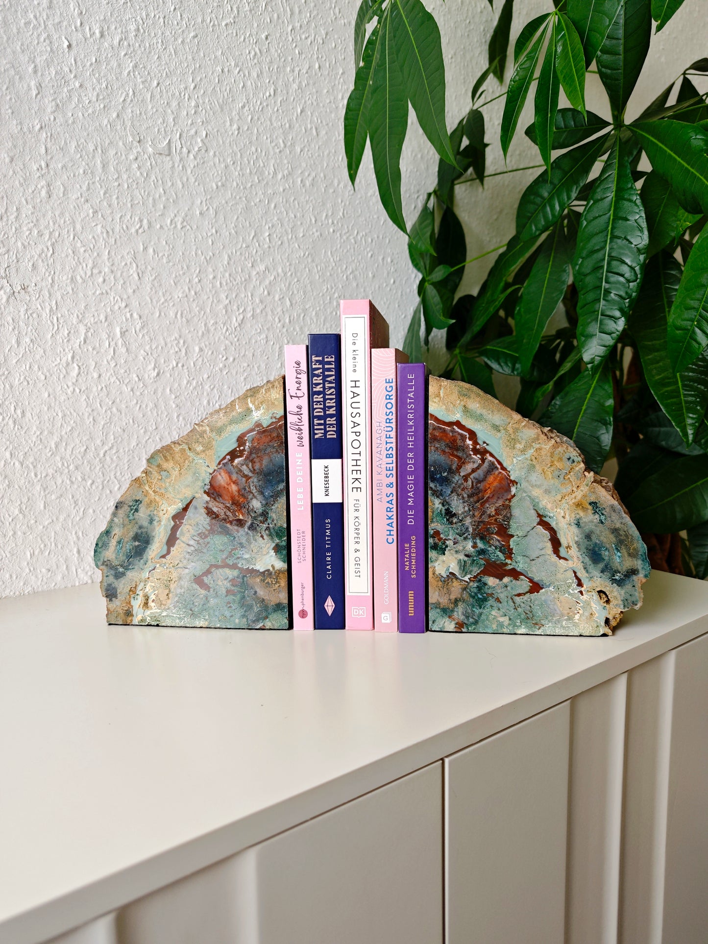 Arizona Versteinertes Holz Buchstützen 4,8kg