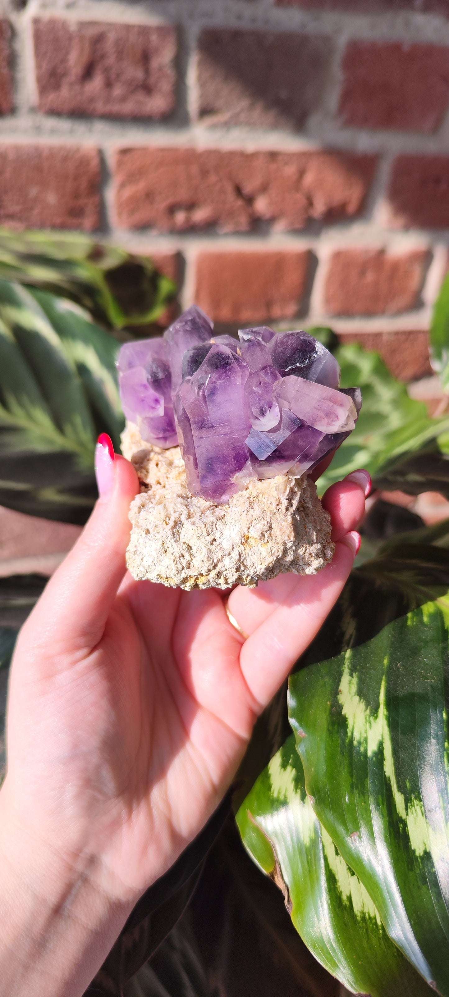 Namibia Amethyst Cluster 298A