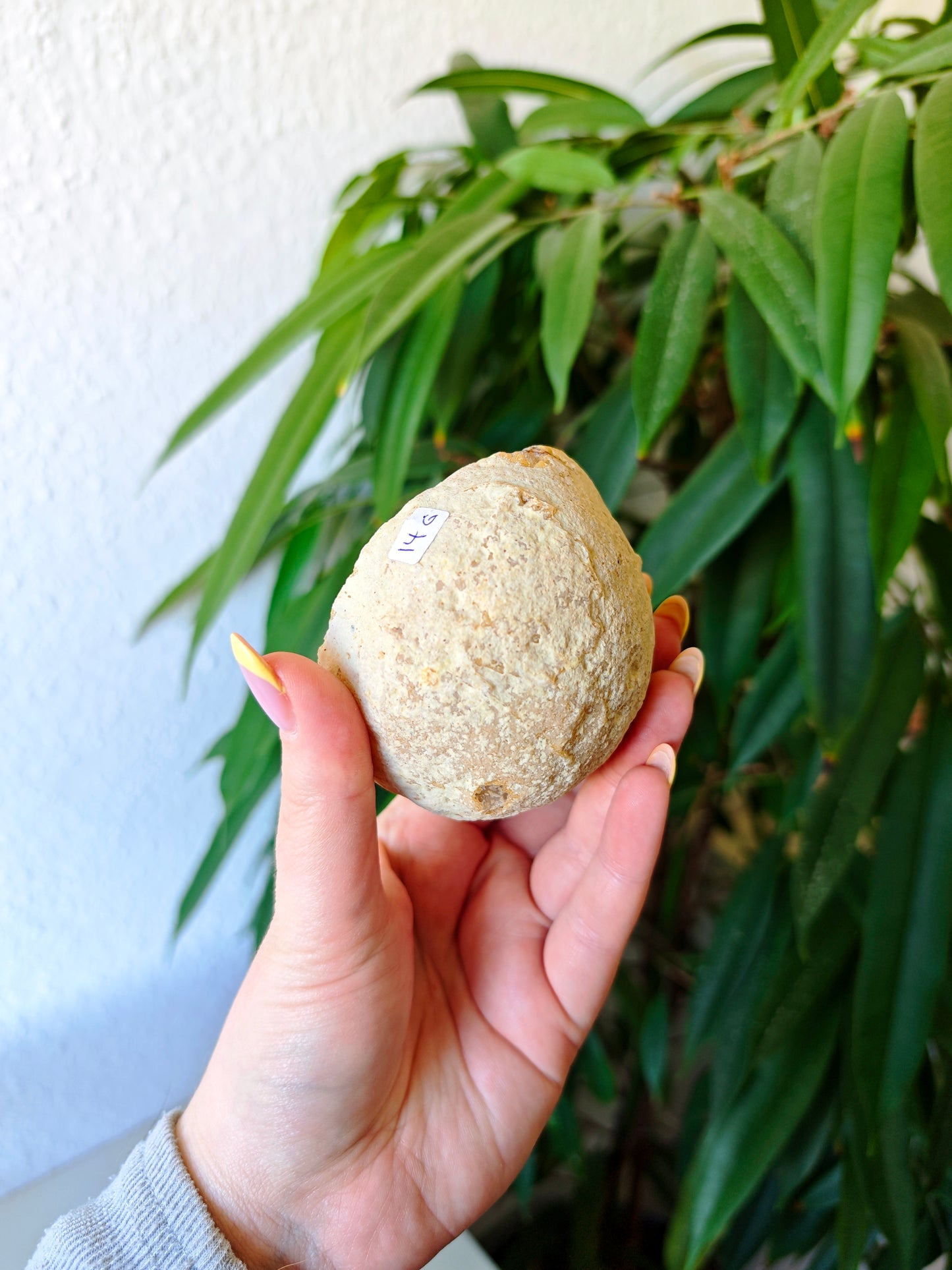 Achat Geode 14G