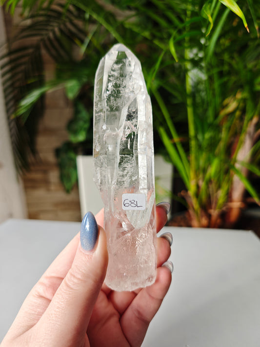 Lemurian Point 68L