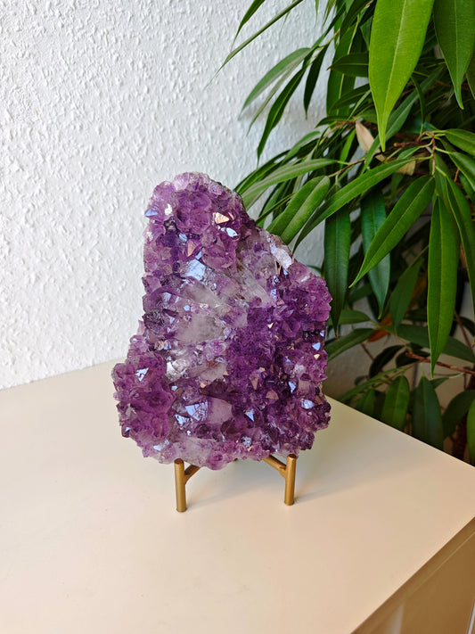 Amethyst Cluster