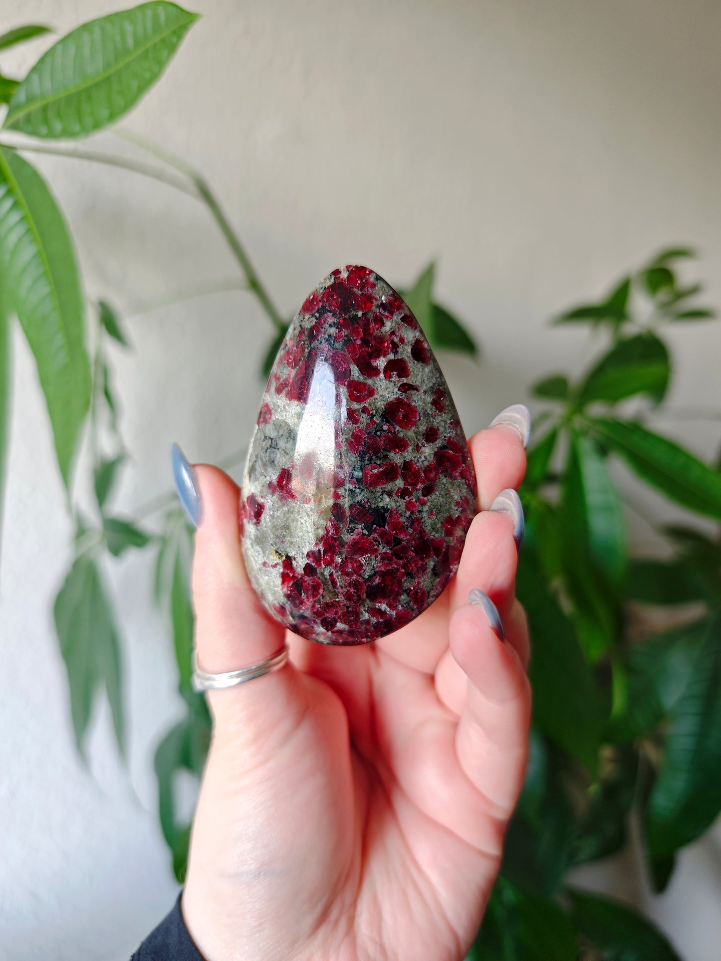 Eudialyt Handsteine (Rarität)