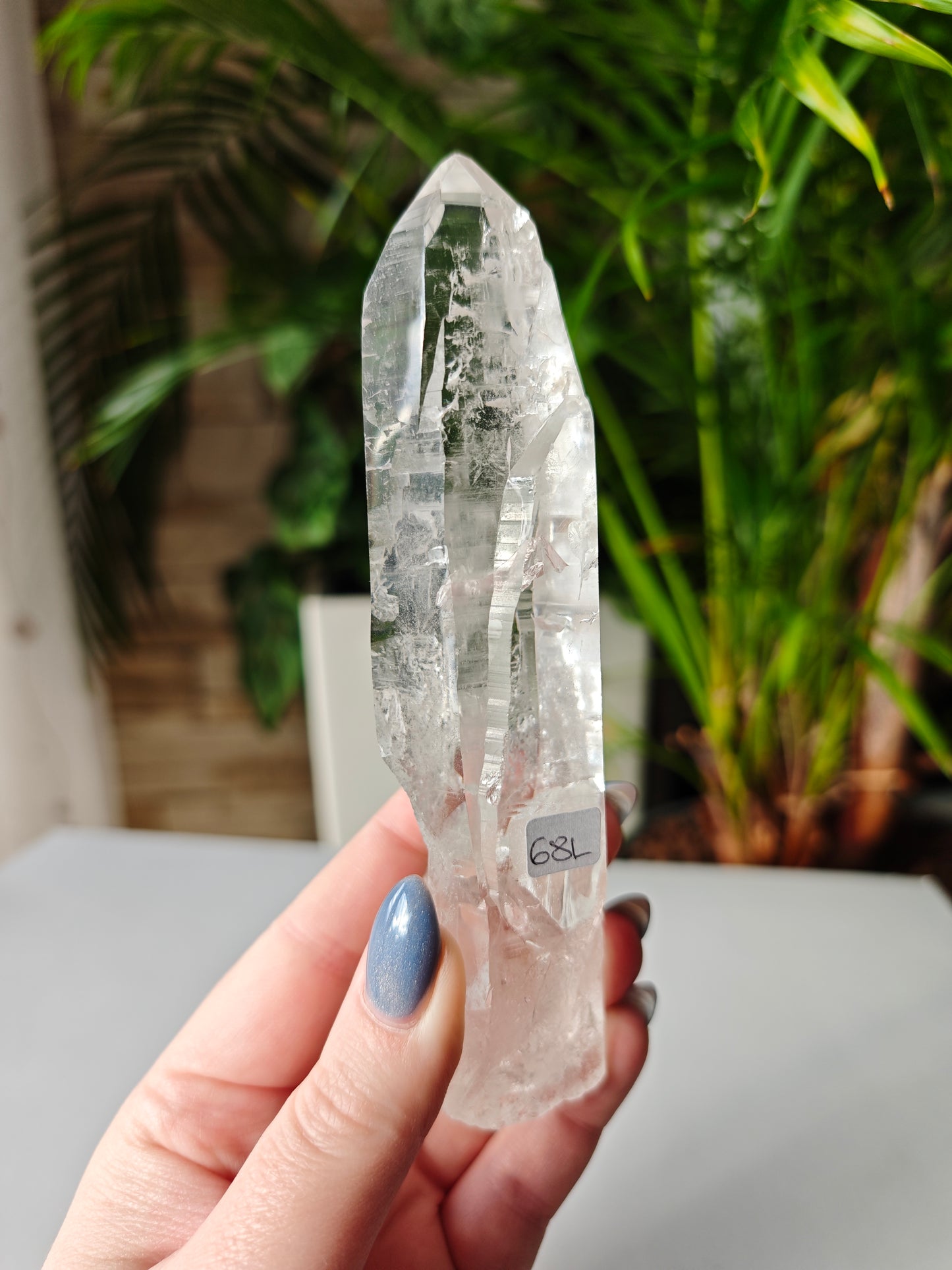 Lemurian Point 68L