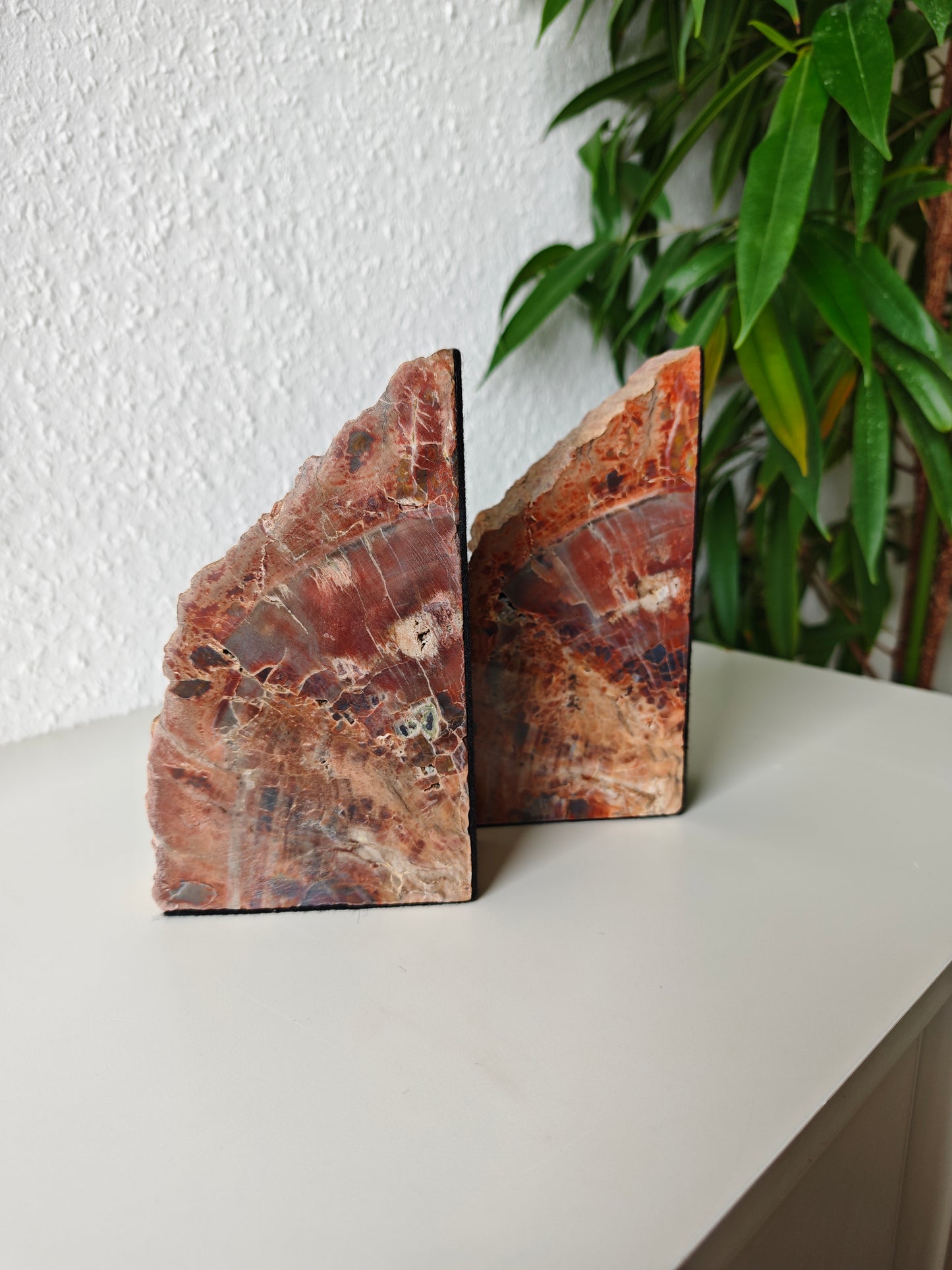 Arizona Versteinertes Holz Buchstützen 3,07kg