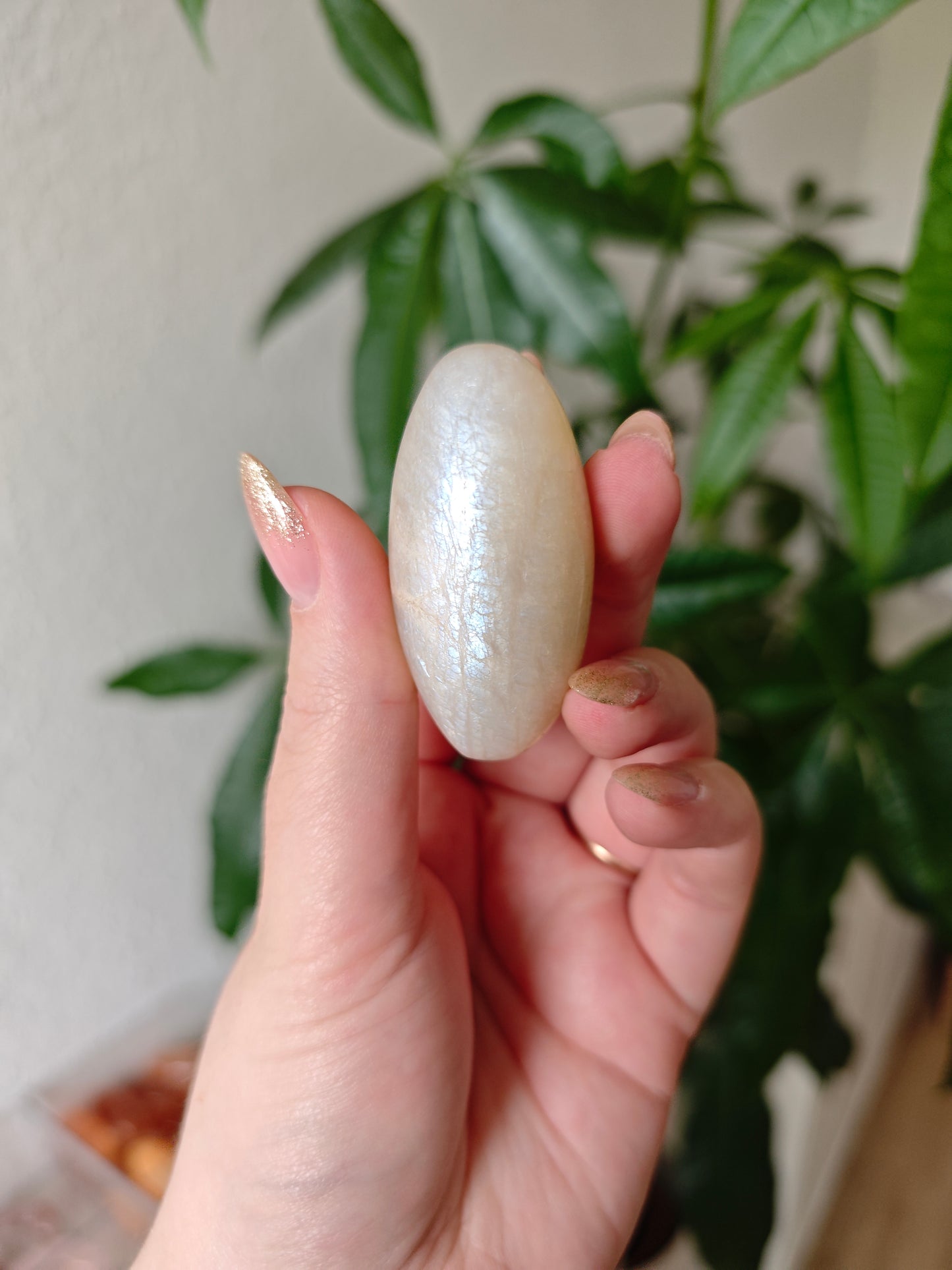 Tanzania Mondstein Shiva