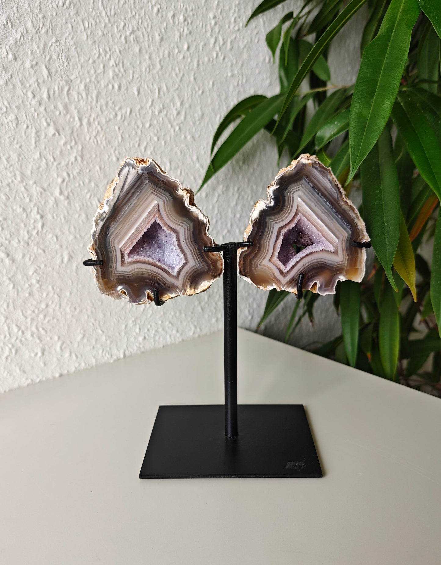 Achat Flügel auf Ständer 160AF