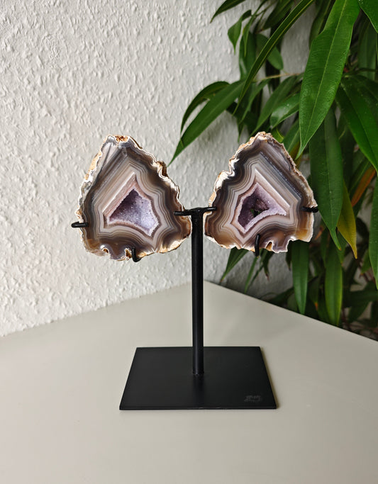 Achat Flügel auf Ständer 160AF