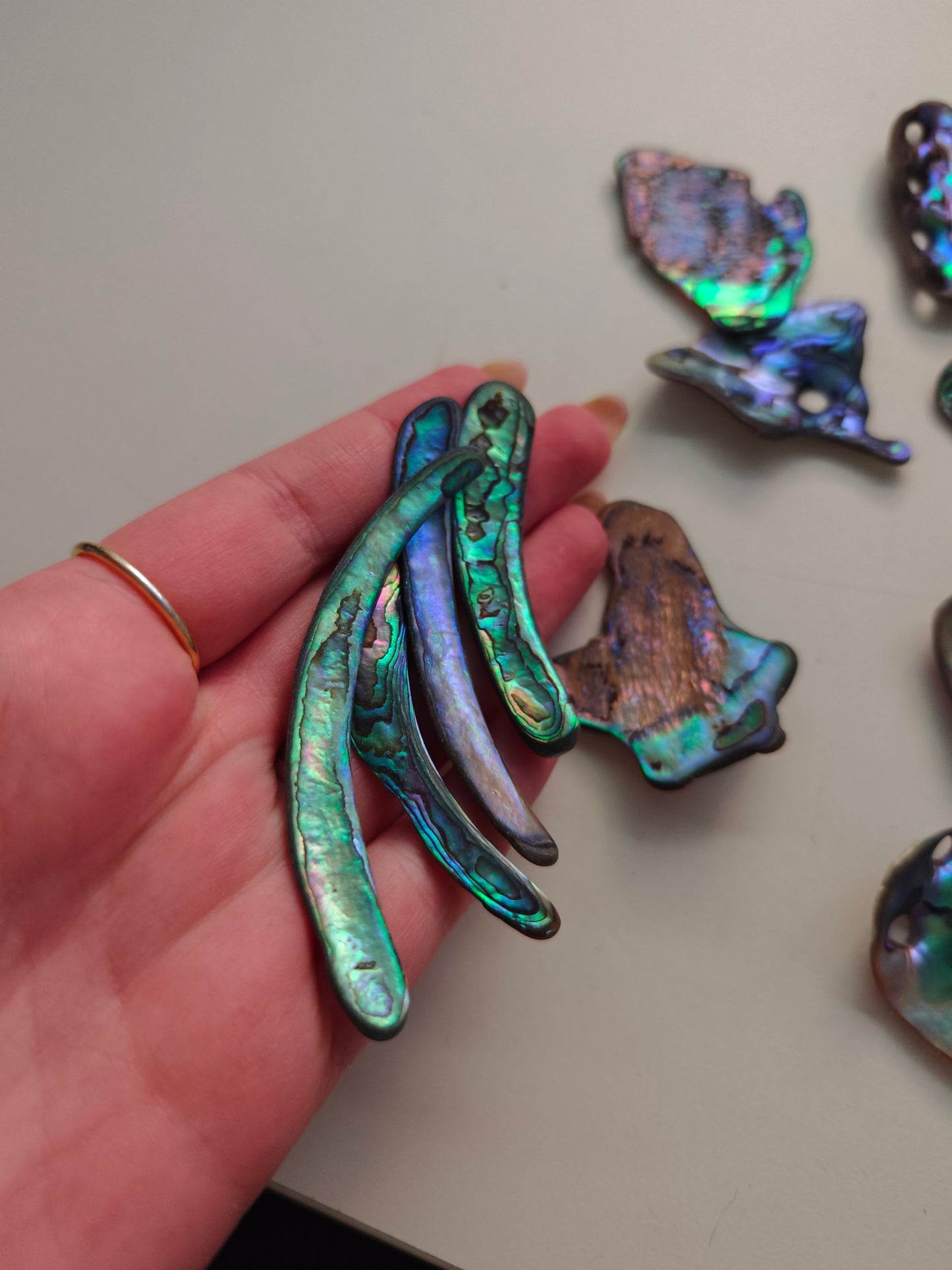 Paua Shells (Randstücke)