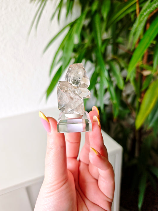 Herkimer 460E