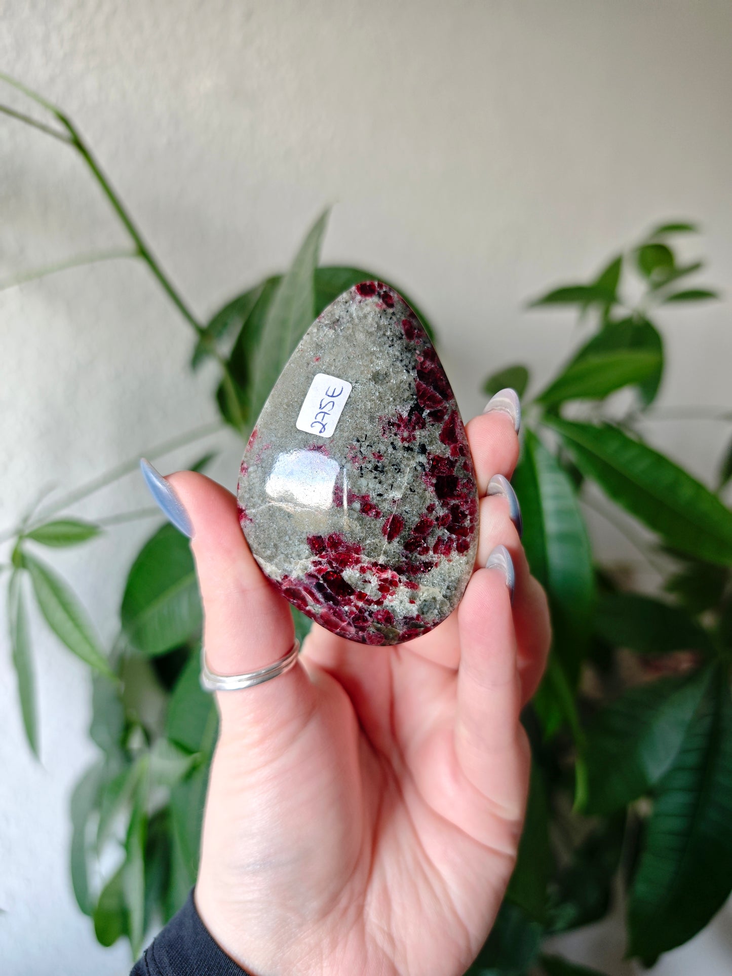 Eudialyt Handsteine (Rarität)