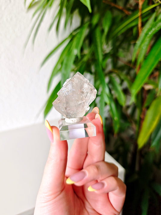 Herkimer 320K