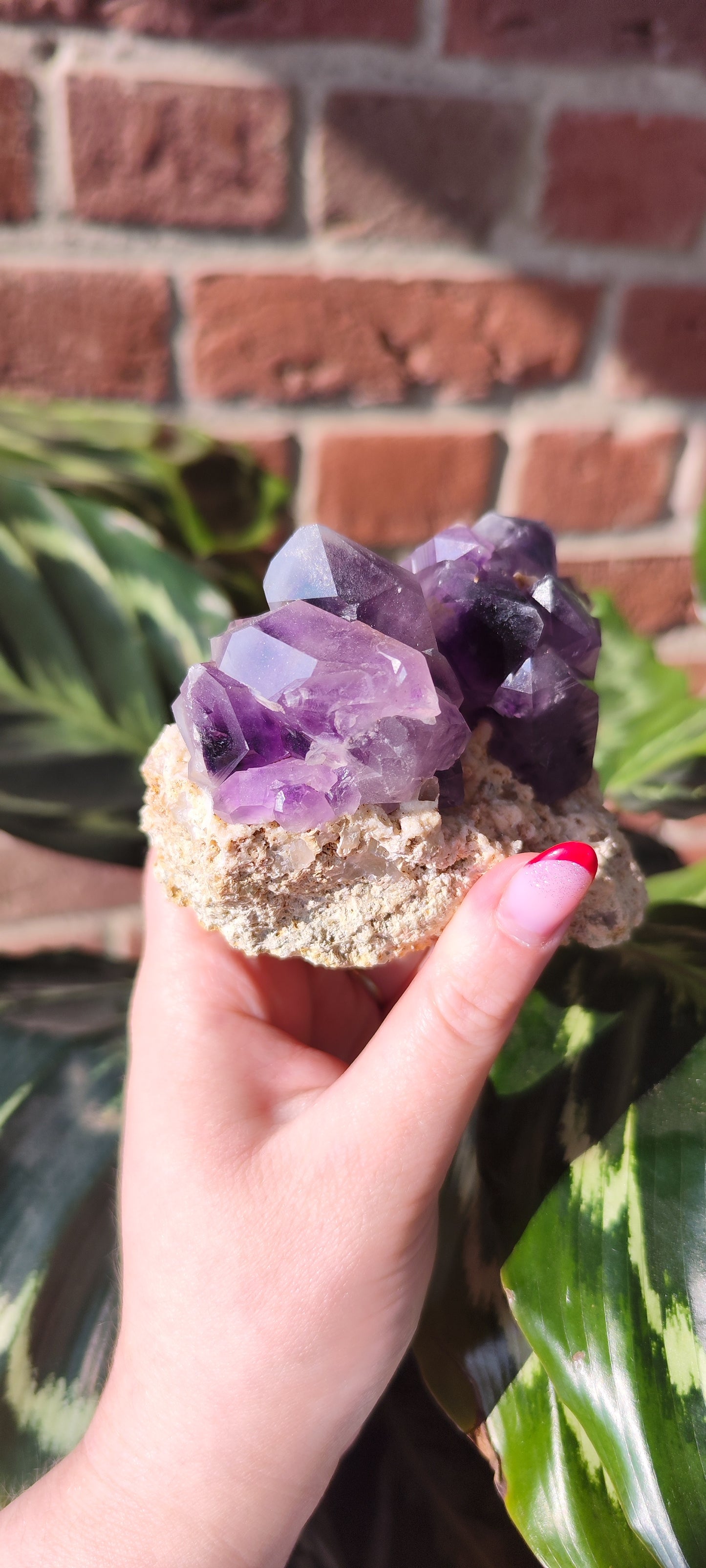 Namibia Amethyst Cluster 298A