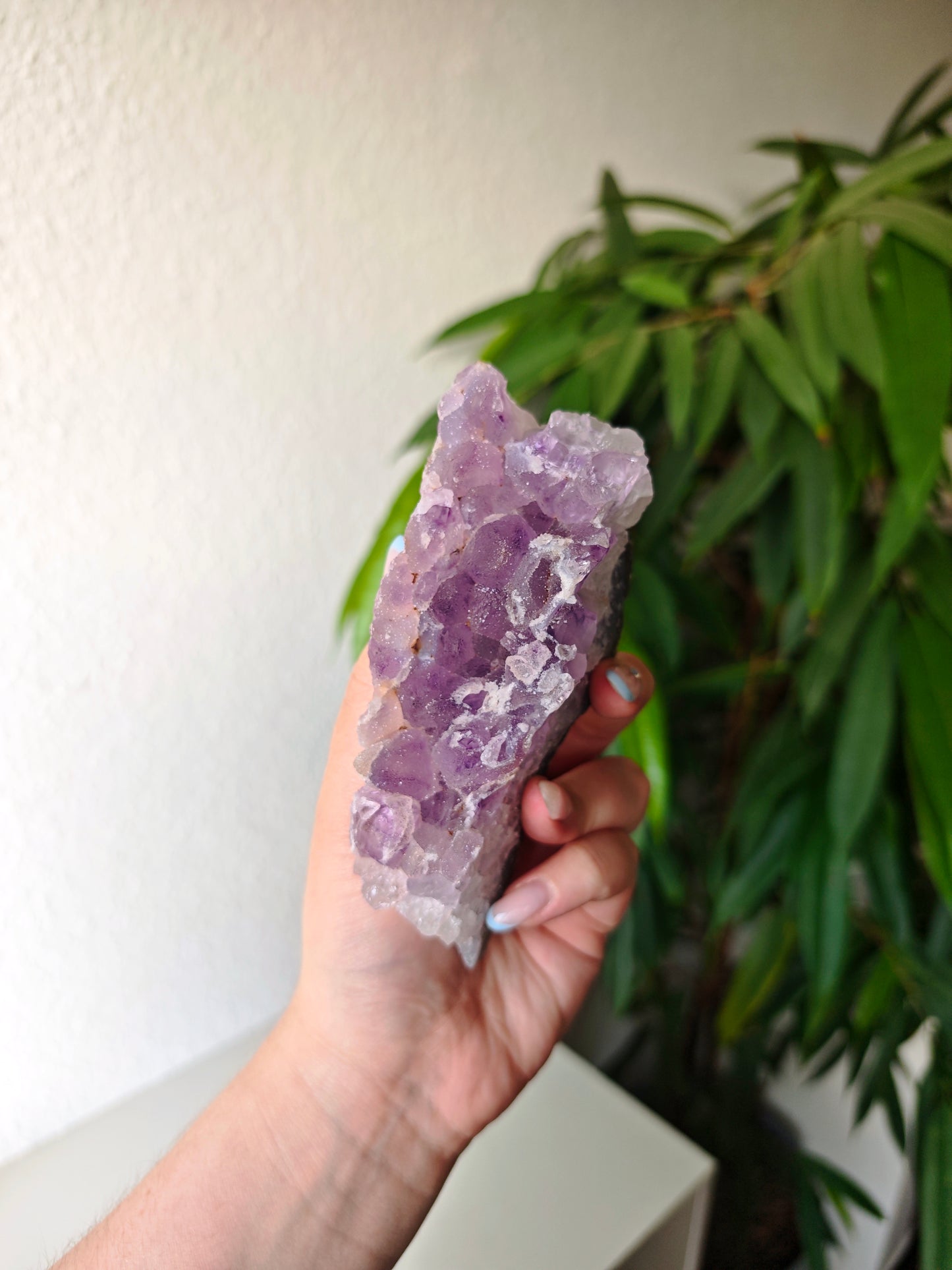 Sugar Amethyst 71