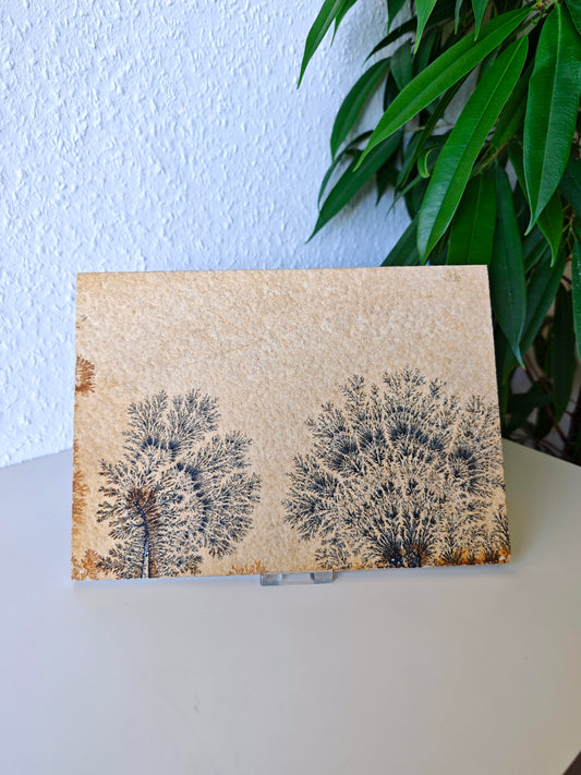 Dendriten Platte