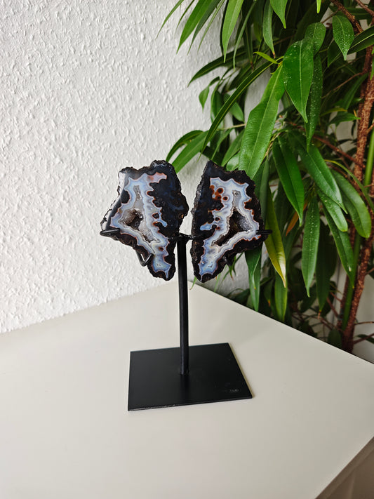 Achat Flügel auf Ständer 165AF