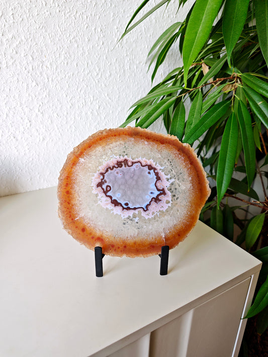 Achat Scheibe AZ