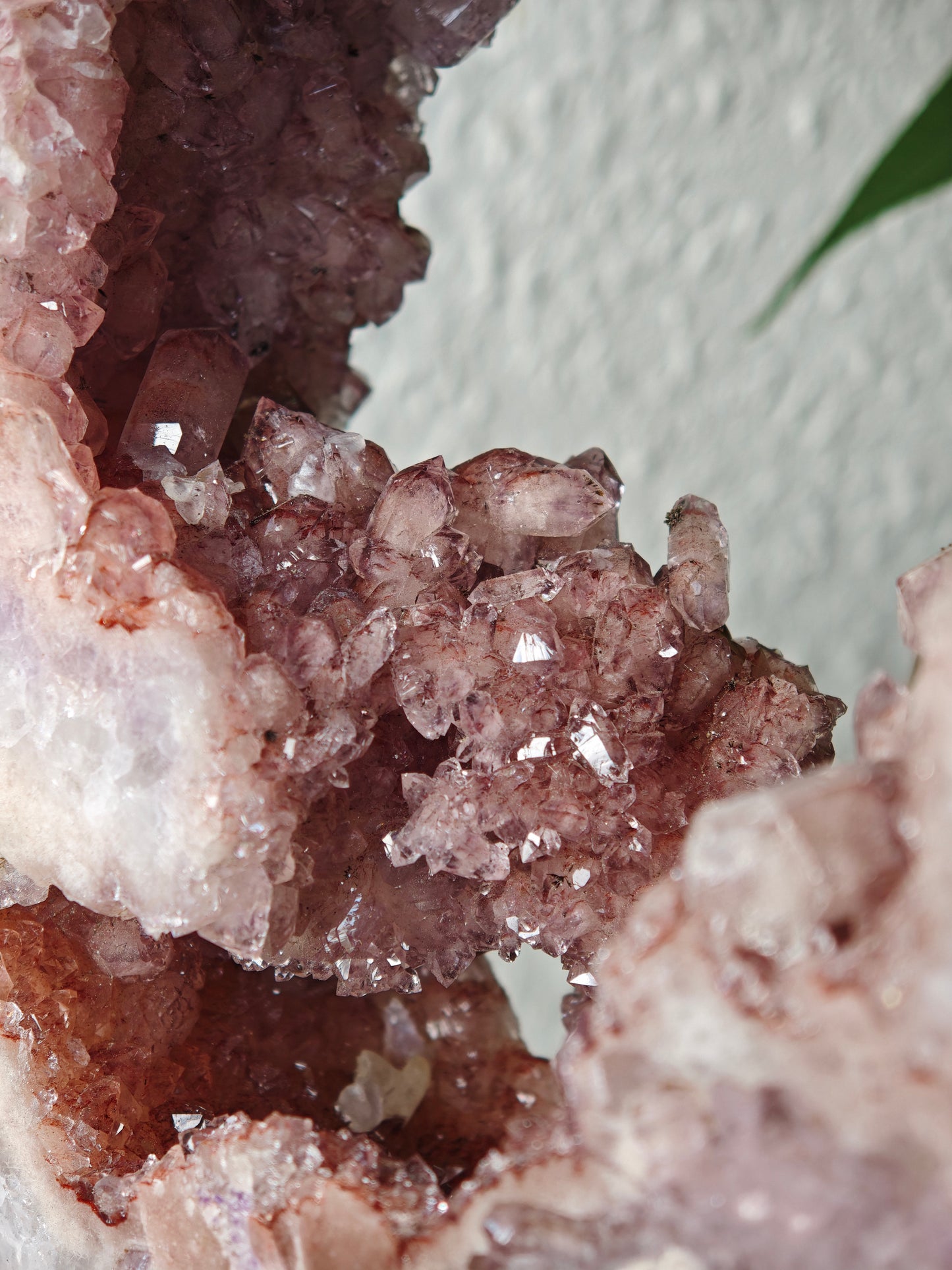 Statement Amethyst x Pinker Amethyst Portal